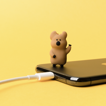 Dinotaeng Quokkacap Cable Protector 充電線保護器