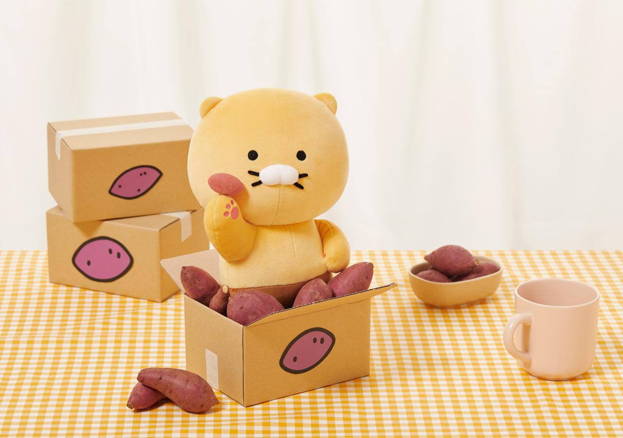 Kakao Friends 春植 Choonsik BB Baby Pillow 攬枕 - SOUL SIMPLE HK