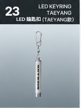 【訂購】BIGBANG 20th ANNIVERSARY COSMOS LED Keyring（TAEYANG）｜20週年展覽 LED鎖匙扣（TAEYANG）