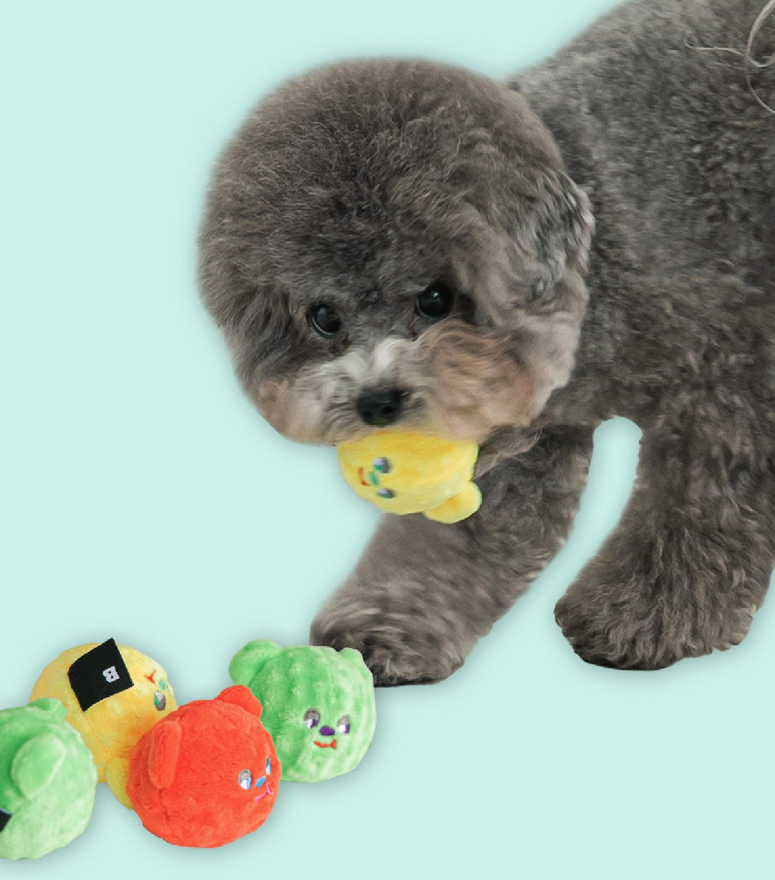 【韓國連線】 Bite Me - Pet Toy Catch Fetch Buddies [Candy Balls Toy] 寵物嗶嗶玩具（3p）