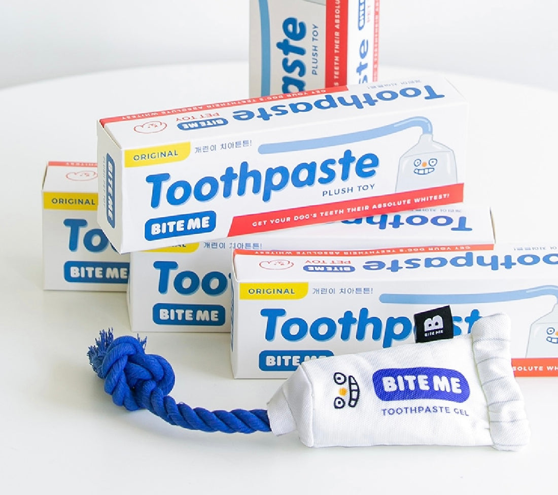 【韓國連線】 Bite Me - Toothpaste Gel Plush Toy 寵物牙膏咬咬公仔（2款｜嗶嗶）