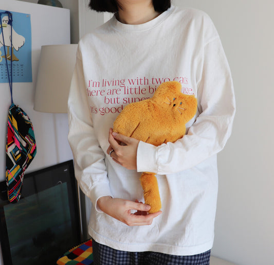 Hozumi Cheese Cat 芝士貓公仔