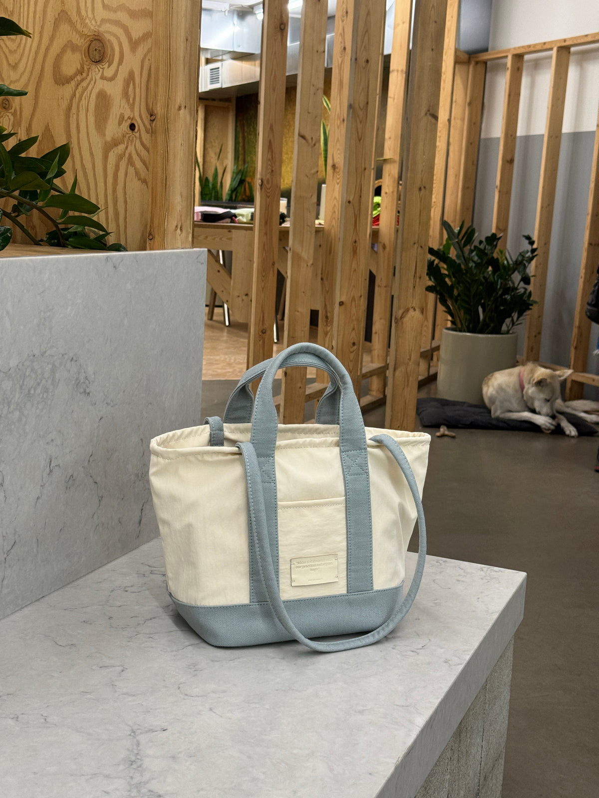 THE ALLY CHLOE BAG 韓國官方照片 look-2392