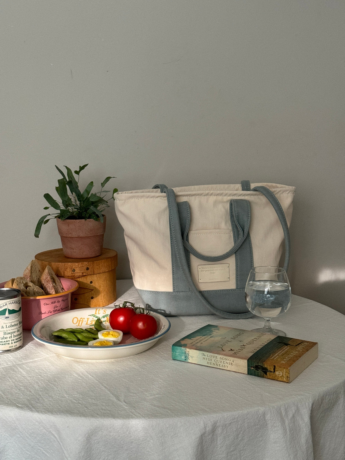 THE ALLY CHLOE BAG 韓國官方顏色圖片 mint-main