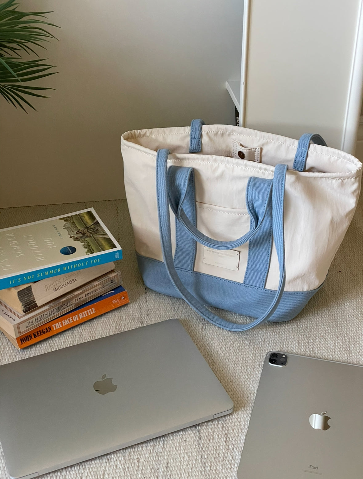 THE ALLY CHLOE BAG 韓國官方顏色圖片 skyblue-4381